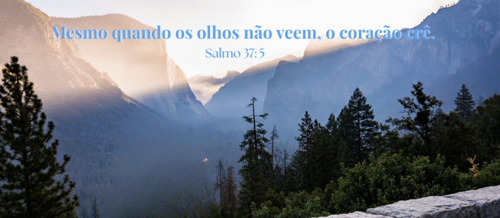 imagem de árvore em neblina, usada como capa do site Caminhos e Promessas